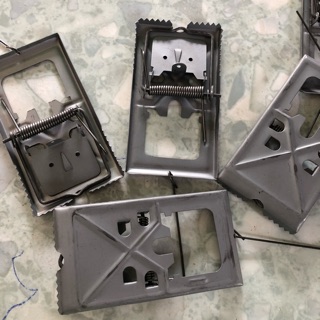 BẪY CHUộT - BẪY CHUỘT ĐẬp RĂng CƯa CỰC NHẠY