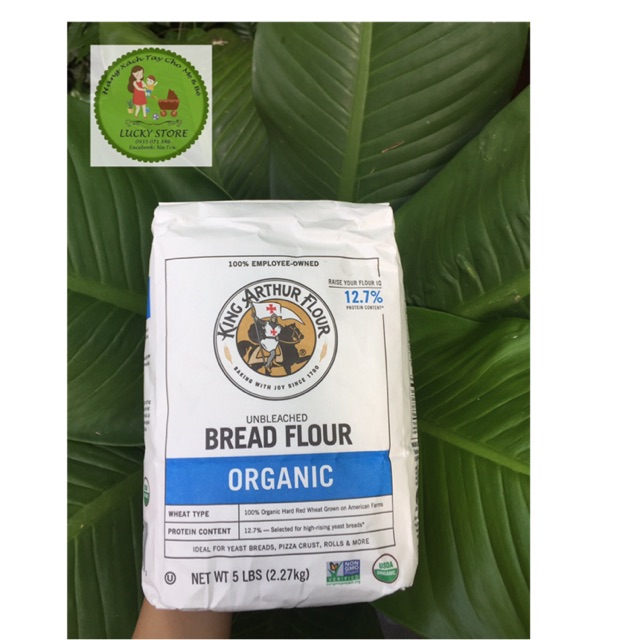 Bột mì hữu cơ King Arthur Flour - Bread Flour
