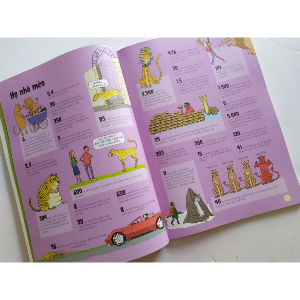 Sách - Xứ Sở Của Những Con Số - Thế Giới Qua 2000 Con Số Và Sự Thật Giật Mình