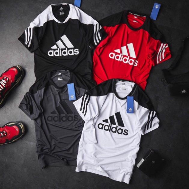 ALBUM 224 - ÁO THUN VNXK COTTON PHỐI MÀU