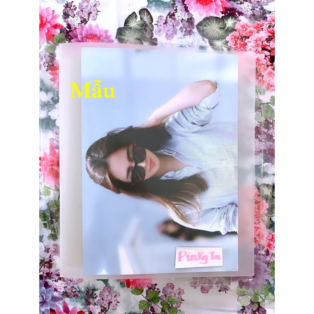 Bìa Binder A4 3 còng D cao ~4,5cm Nhựa Dẻo Mặt Trước Có Bìa Trong Để Ảnh Vỏ Trong Nhám