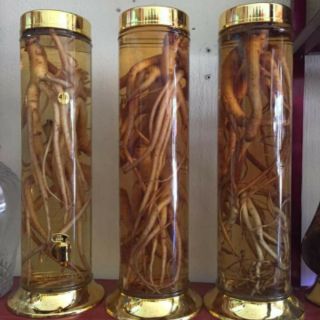 Sâm dây Ngọc Linh ( hàng nhỏ/sâm xô) 160k/kg
