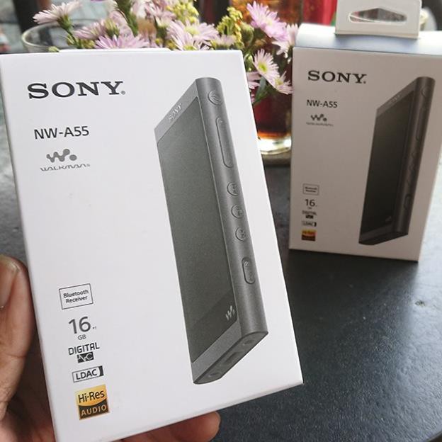 Máy nghe nhạc Hi-res Sony Walkman NW-A55 -Sony NW-A55