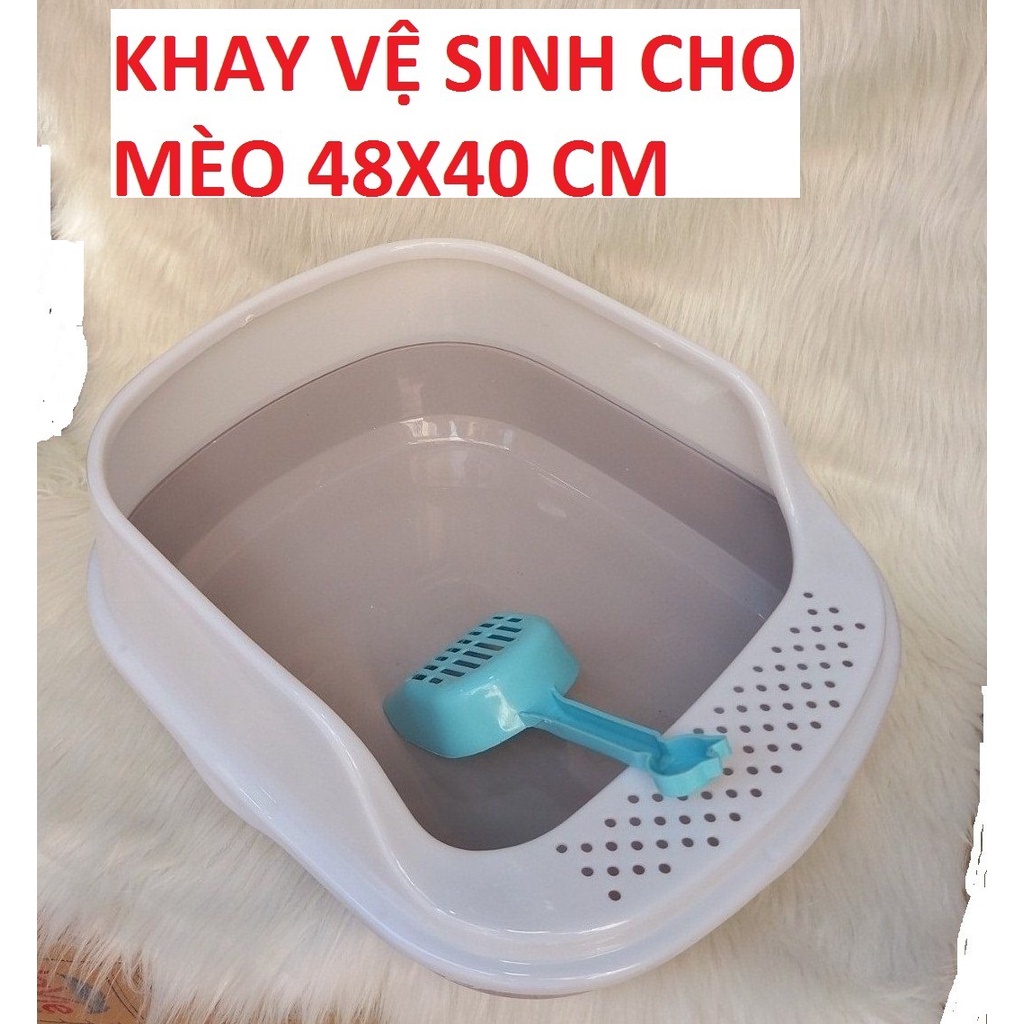 Khay vệ sinh cho mèo, Khay vệ sinh mèo kích thước 48x40x20cm tặng xẻng