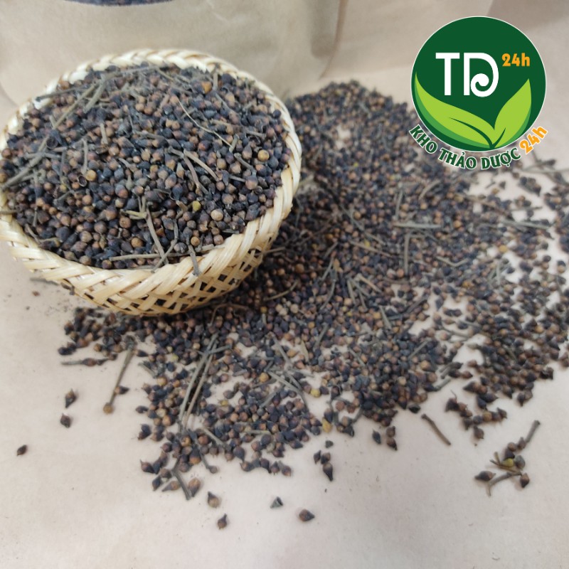 [Loại Thượng Hạng] Nụ vối sạch, giảm cân, giảm mỡ máu, mát gan, thanh nhiệt, ngừa xơ vữa động mạch I Kho Thảo dược 24h