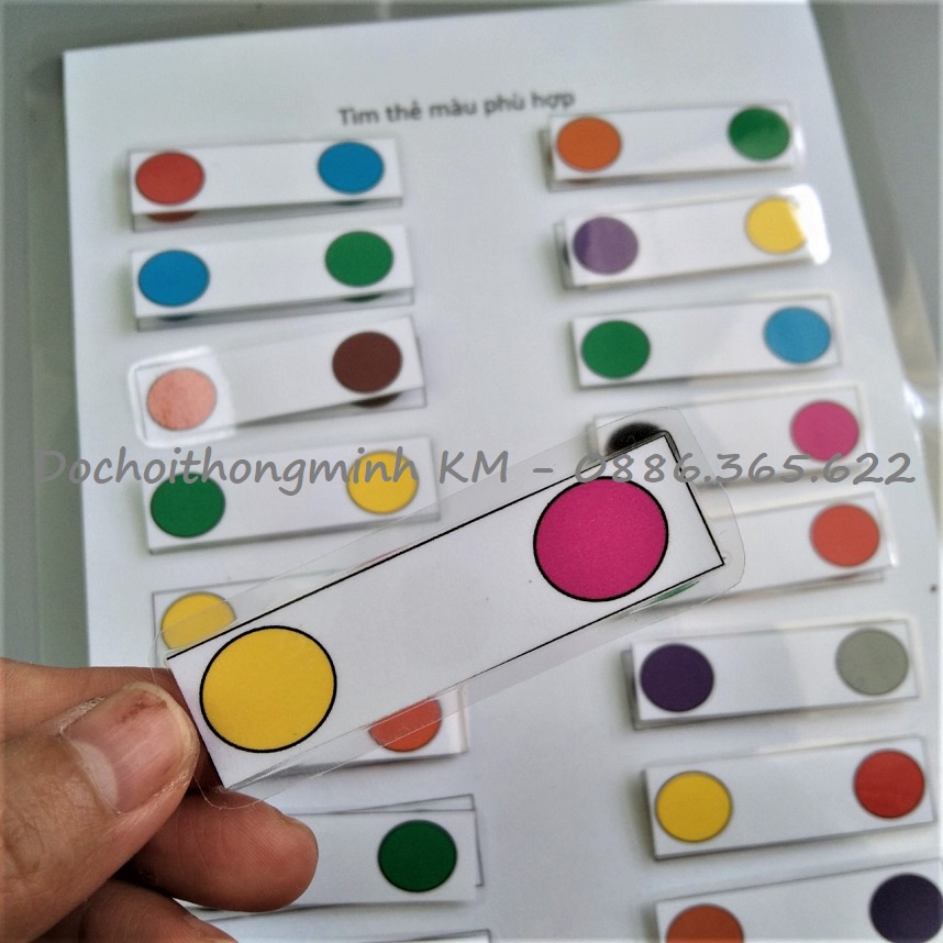 HỌC LIỆU - Phân loại màu sắc - Sắp xếp thẻ màu