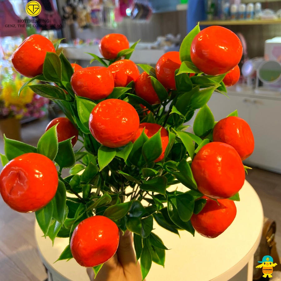 Cành quýt, dâu, ớt, sơ ri, táo đỏ, cherry trang trí nhà cửa, sang trọng, phú quý, may mắn