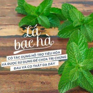Trà bạc hà Handmade Moon Ship