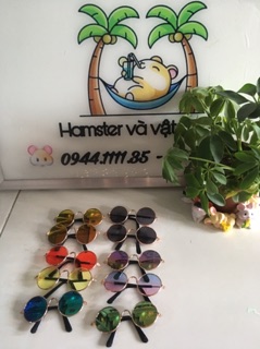 Mắt kính râm cho chó mèo