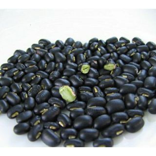 3g Hạt đỗ đen xanh lòng-TT