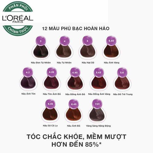 Kem Nhuộm Tóc Nâng Sáng 2 Trong 1 Ultra Light L'Oreal 172ml - Màu 01 Nâu Sáng Tự Nhiên