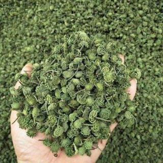 100g - 200g -300g nụ hoa tam thất