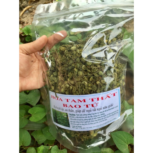 250g Nụ hoa tam thất Sapa (video và ảnh thật)