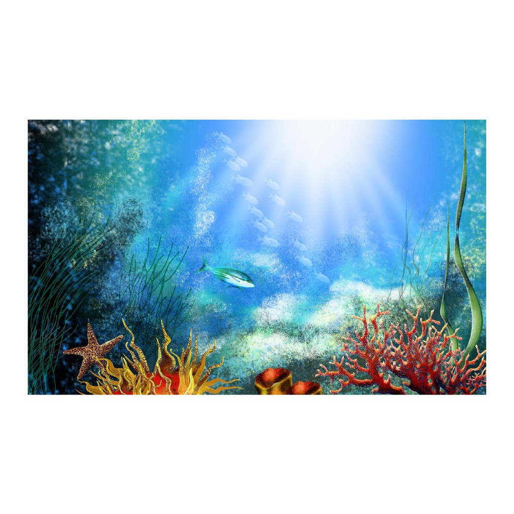 TRANH DÁN HỒ CÁ NHIỀU KÍCH THƯỚC_THIẾT KẾ NÀNG THƠ