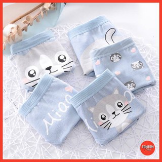 Combo 4 quần lót nữ Mèo xanh đáng yêu