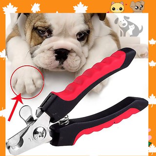 Bộ kìm cắt móng + Dũa móng chân cho thú cưng
