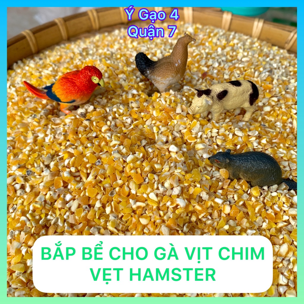Bắp bể vụn thức ăn cho hamster gà vịt chim ăn - Túi 1kg - Ngô cung cấp tốt dinh dưỡng và sức khỏe cho gia cầm