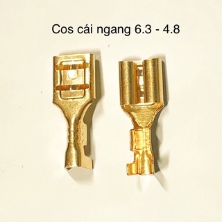 🔎100 đầu cos ghim trung 4.8 cho ô tô,xe máy bằng đồng