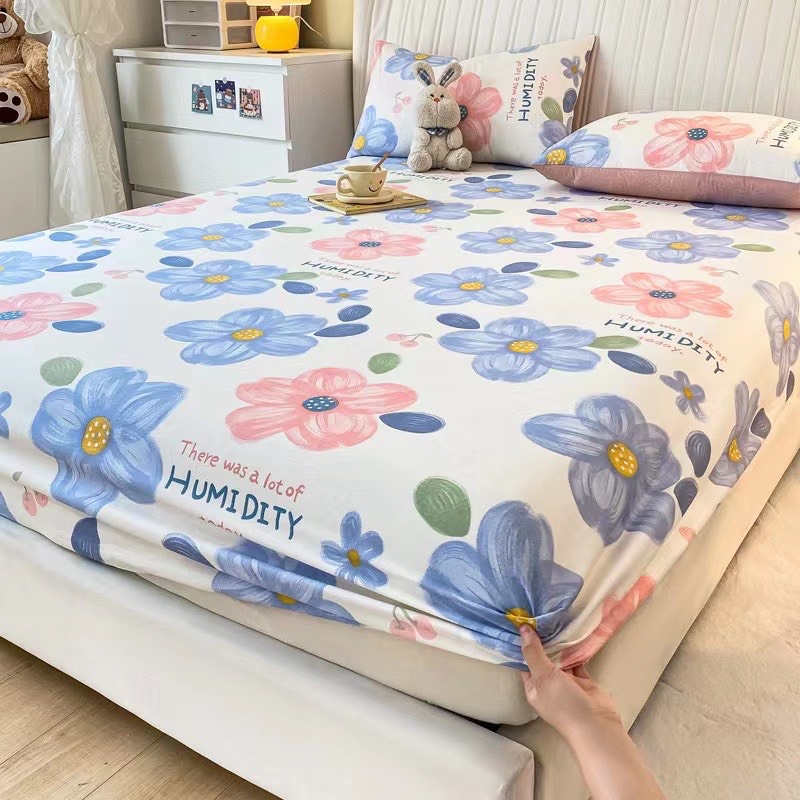 Ga gối cotton 100% phong cách Hàn Quốc - Free Bo Chun