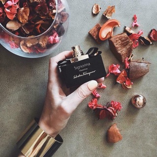 ✨𝐓𝐢𝐞𝐦𝐧𝐮𝐨𝐜𝐡𝐨𝐚✨ nước hoa signorina misteriosa 10ml ✨