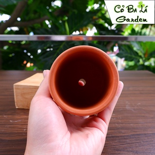 Chậu đất nung trụ ( Đất Đỏ )