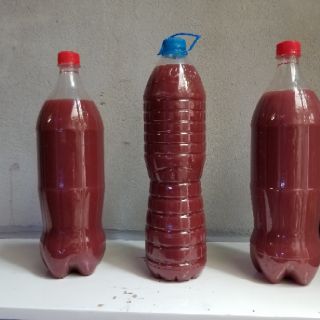 Vi Khuẩn quang hợp PSB Plus ( chai 1,5 lít )