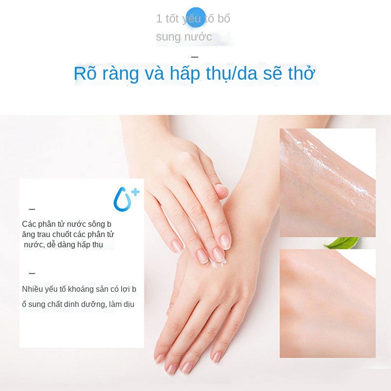 ✼Bộ mỹ phẩm Water Code dưỡng ẩm sâu, dưỡng ẩm thu nhỏ lỗ chân lông Kem nước kiểm soát dầu dành cho nữ và nam sản phẩm ch