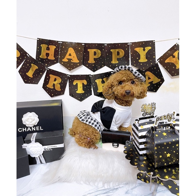 Set váy + mũ kẻ caro cho thú cưng