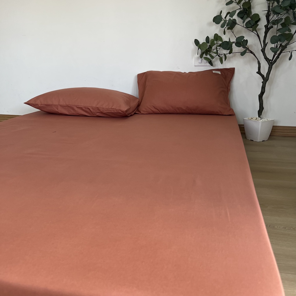 Bộ ga giường Cotton Tici 3 món bọc chun một màu trơn phong cách Hàn Quốc với đủ mọi size nệm