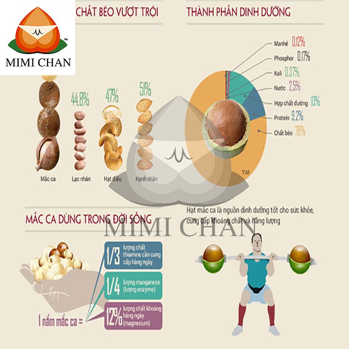 Nhân Quả Macca Úc Mourad’s Đã Tách Vỏ Túi 500gr, Mắc Ca Tốt Cho Tim Mạch, Giảm Cân