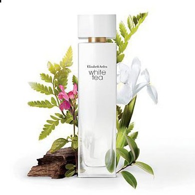 NƯỚC HOA ELIZABETH ARDEN - White Tea EDT 100ml