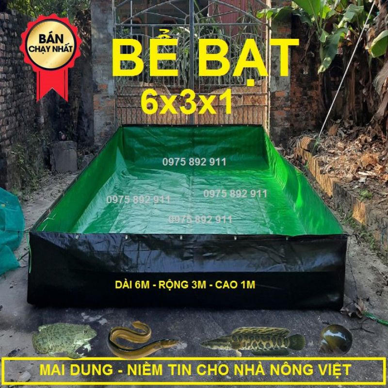 Bể bạt nuôi ốc ếch cá xanh bộ đội 6x3x1