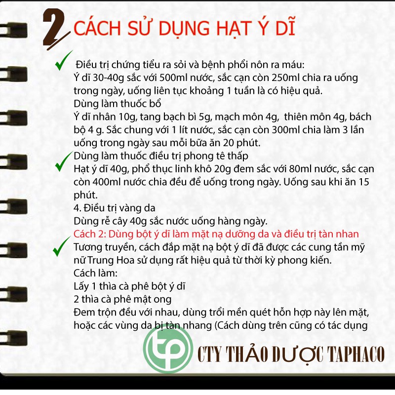 Hạt ý dĩ - Thảo dược Tấn Phát