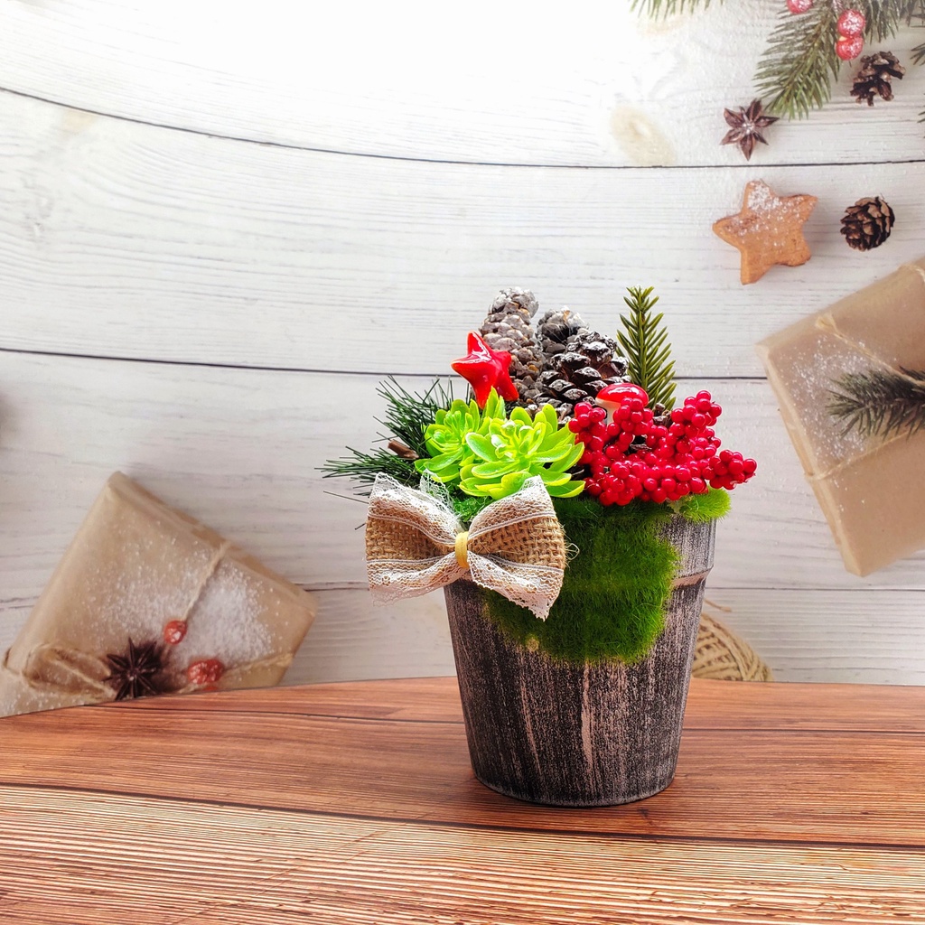 Chậu Thông Giáng Sinh Để Bàn Trang Trí TNM11, TNM12