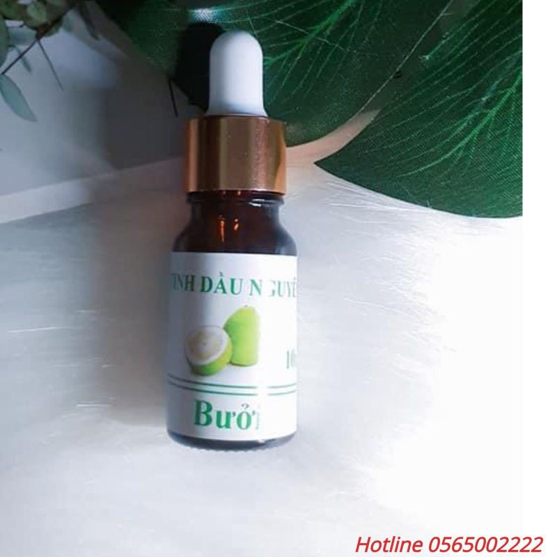 Tinh dầu thiên nhiên ❤️FREESHIP❤️ Tinh dầu nguyên chất 10ml