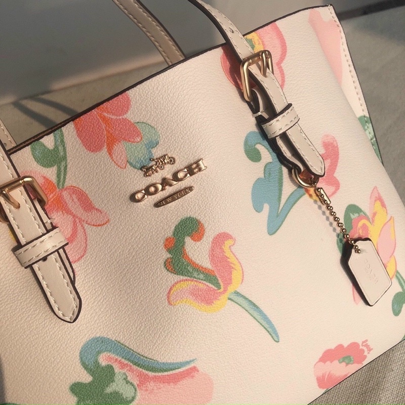 TÚI COACH MOLLIE C8217