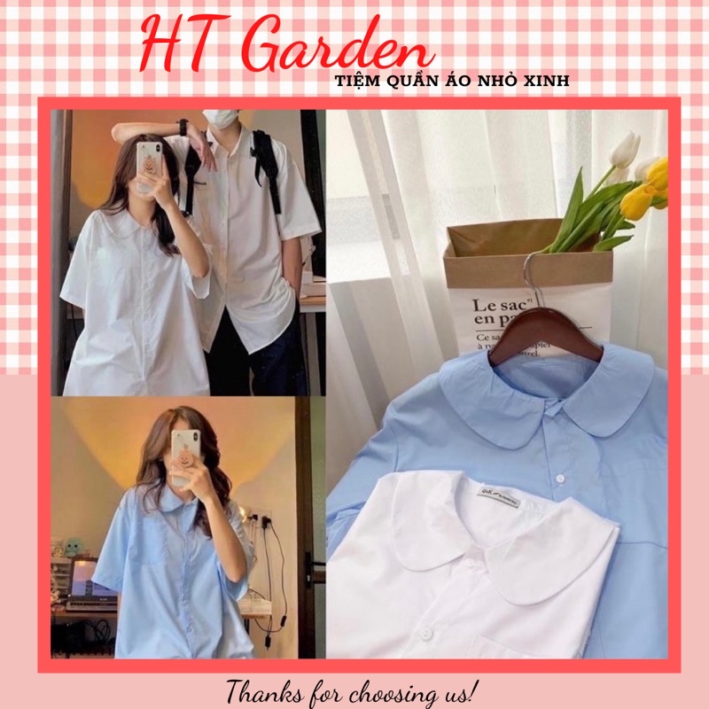HT GARDEN - Áo sơ mi học sinh cộc tay cổ sen