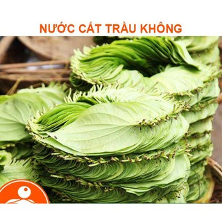 Nước Cất Lá Trầu Không