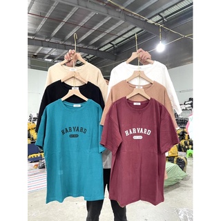 áo phông chữ HARVARD st1636-phông 3158