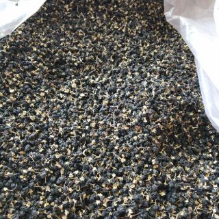 1KG HẮC KỲ TỬ TÂY TẠNG