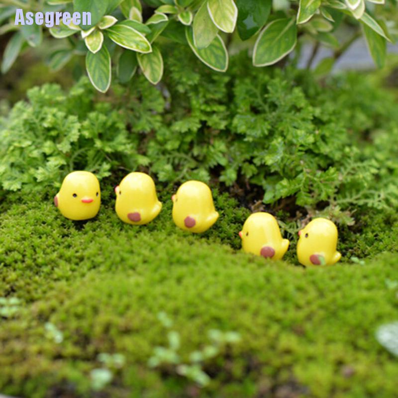 Set 5 chú gà con mini màu vàng dễ thương xinh xắn