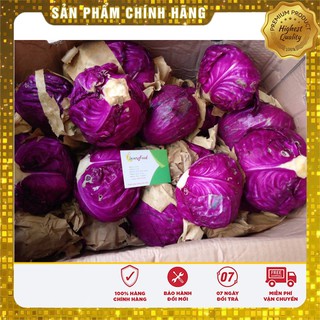 Hạt giống Bắp Cải Tím F1