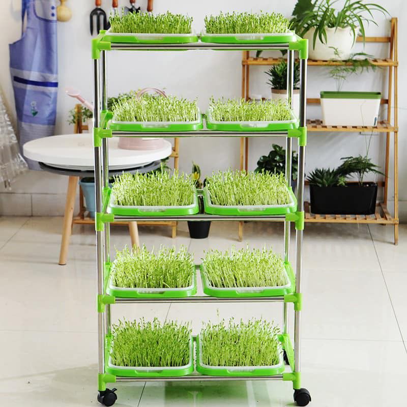 Kệ trồng rau mầm thông minh gồm 3,4,5 tầng