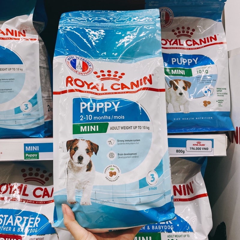 Hạt khô Royal Canin Mini Puppy cho chó con giống nhỏ &lt;10kg