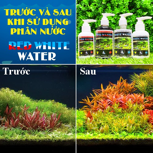 Phân Nước Thủy Sinh Cao Cấp - RED WHITE WATER