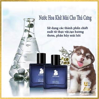 Nước hoa Borammy dành cho chó mèo giữ mùi thơm lâu - Lona Pets