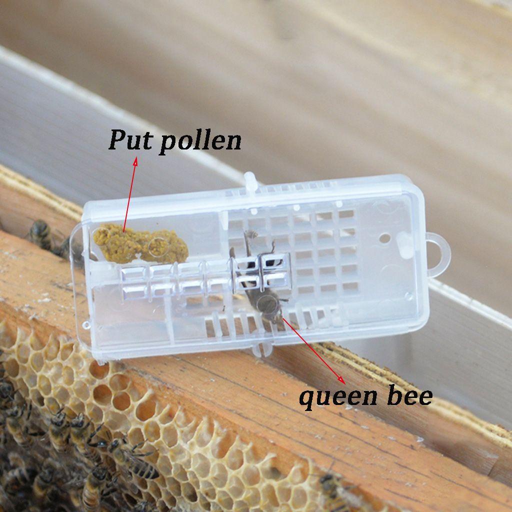 1 / 2 / 4 Lồng Nuôi Ong Bằng Nhựa PP