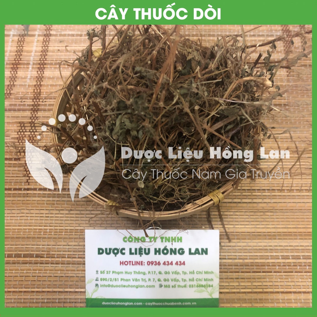 CÂY THUỐ.C DÒI (BỌ MẮM) khô sạch đóng gói 1kg - congtyduoclieuhonglan