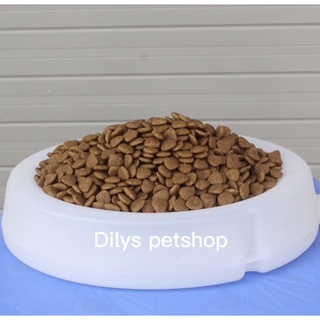 Hạt Cho Mèo Catsrang 2kg, Hỗ Trợ Tiêu Hóa, Giảm Mùi Hôi, Cho Mèo Trên 3 Tháng