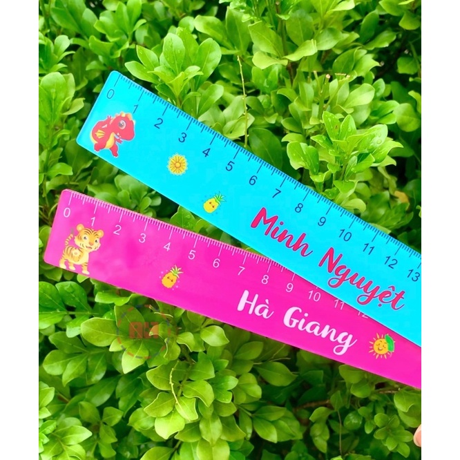 Thước Kẻ acrylic Nhiều Hình Thú Dễ Thương Cute, in tên theo yêu cầu
